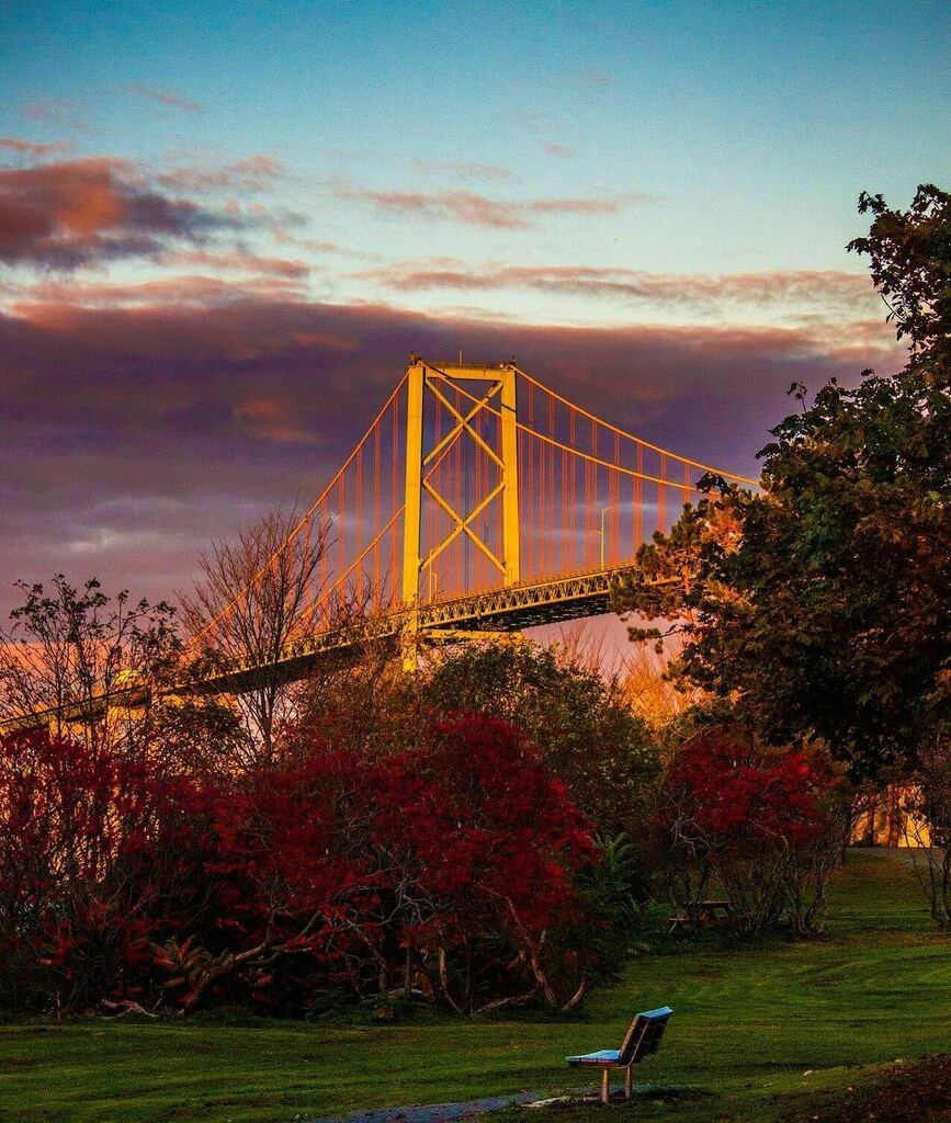 halifaxnoise's tweet photo. From @ayatnasr —
My love for November is autumn-atic
.
.
.
.
.
#halifaxlocal #novemberrain #fallincanada #fallwalks #fall2021 #fallfoilage #rediscovernovascotia #halifaxnovascotia #eastcoastcreatives #explorens #visitnovascotia #halifaxnoise #halifaxns… https://t.co/ZPv3Nwk1UN https://t.co/L9D4qQ95Ob