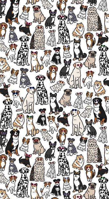 #とにかくワチャーッと集合してる絵を晒す見た人もやる
ワチャーッとしたいぬねこたち。 