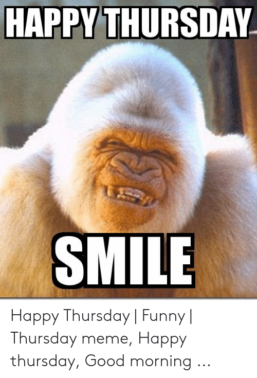 Good Morning Happy Thursday Funny James Cox On Twitter: "Good Morning Everybody I Hope You Have The Most  Excellent Thursday Xoxoxo Https://T.co/Lsn0Yzeinl" / Twitter