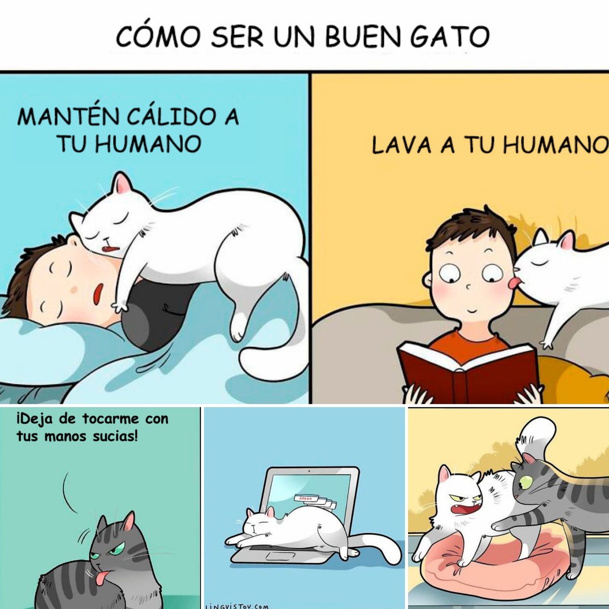 WithMyLadies1's tweet photo. El artista ruso Lingvistov ha creado ilustraciones que representan la vida con un gato en la familia. Su arte es apreciado por las personas que aman a los gatos y las personas que ni siquiera tienen gatos por igual. Aquí hay más de 40 imágenes divertidas.  🤩👀
