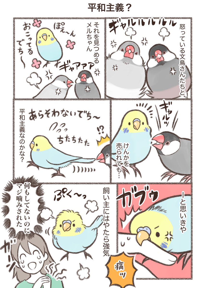 マンガ「平和主義?」🦜

#セキセイインコ #漫画が読めるハッシュタグ 