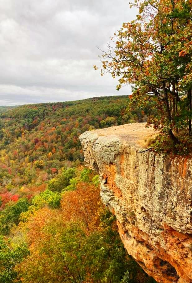 noordanary's tweet photo. Found a beautiful place to hike in the Ozarks
https://t.co/5PSKCJDD1H
#hikingadventures #hiking #Arkansas #TravelBetter #traveldestination #outdoorfun #outdoors  #outdoor #outdooradventure #trails #scenery #TravelMakesUs #travelblogger https://t.co/l7Ds2lpSxt