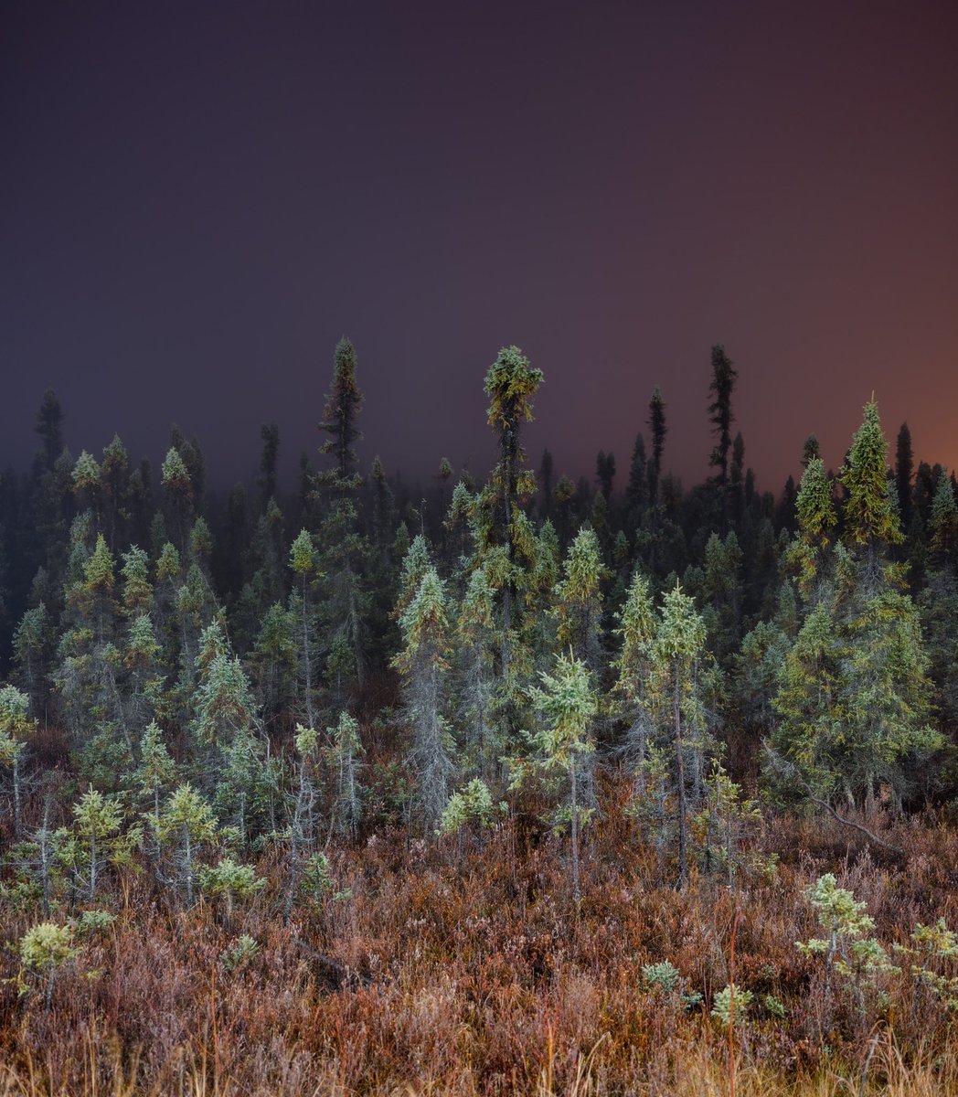 kerry tasker tweet media