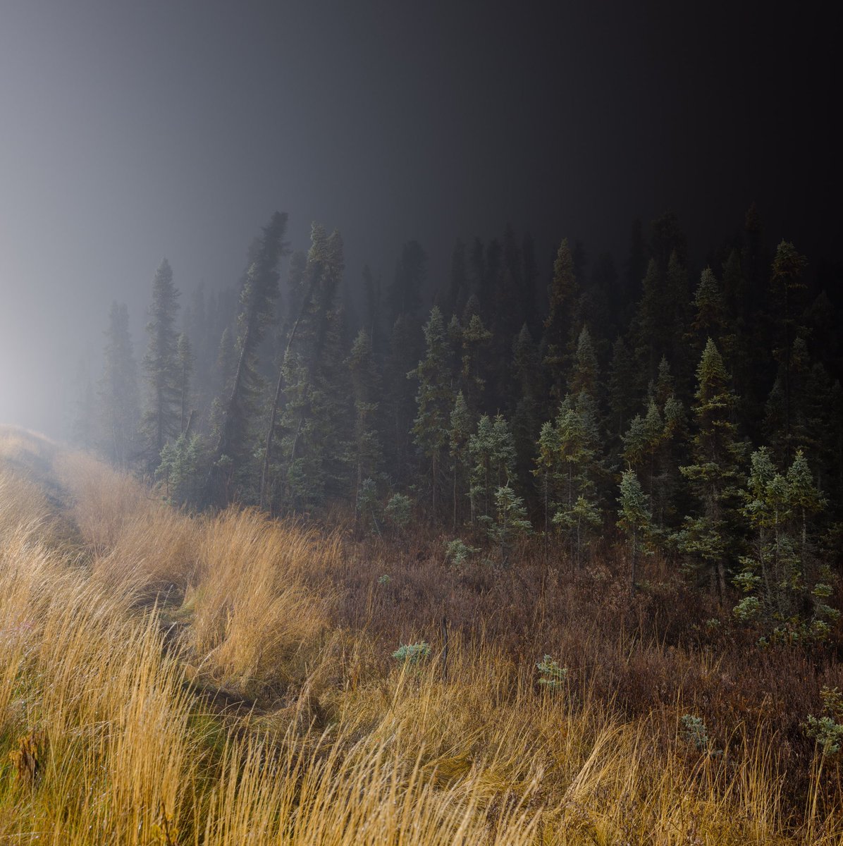 kerry tasker tweet media