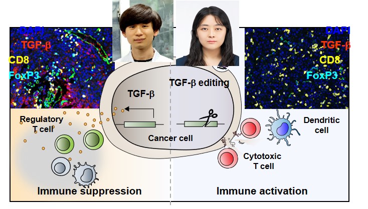 YuKyoungOh1's tweet photo. Glad to share our work out @acsnano. Thanks to @DongyoonKim5 @YinaWu1104 @GayongShim for great ingenuity and efforts.
[Open access] @SNU_Pharm 
#genomeediting #sgRNAdelivery #Cas9 #lipidnanoparticle #immunemicroenvironment 
https://t.co/Odwso1xkre https://t.co/uesDwGaabN