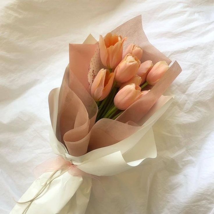 TopQueen_Fk's tweet photo. .           𝐓𝐡𝐞 𝐓𝐨𝐩 𝐐𝐮𝐞𝐞𝐧 𝐈𝐬: 

            ¡Jazmín Campbell! https://t.co/bVJ2KoryT4