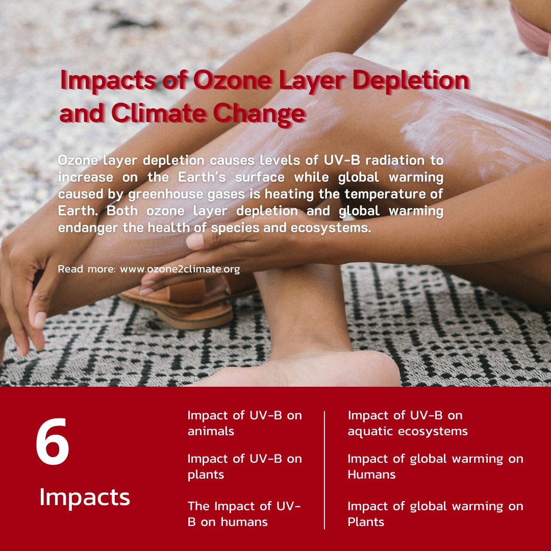 APozone2climate's tweet photo. join us in #AsiaPacificOzone2ClimateArtContest 🎨📸

📆 Deadline: 31 Mar 2022
📍https://t.co/Qs05iE33un https://t.co/b4qokoMsuc