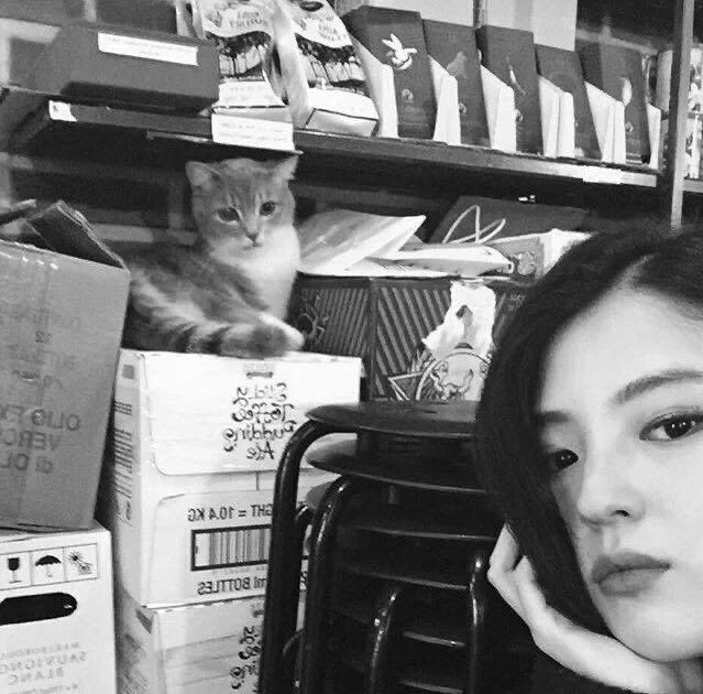 Soheehaan's tweet photo. Meow. https://t.co/f0Nd04qFrz