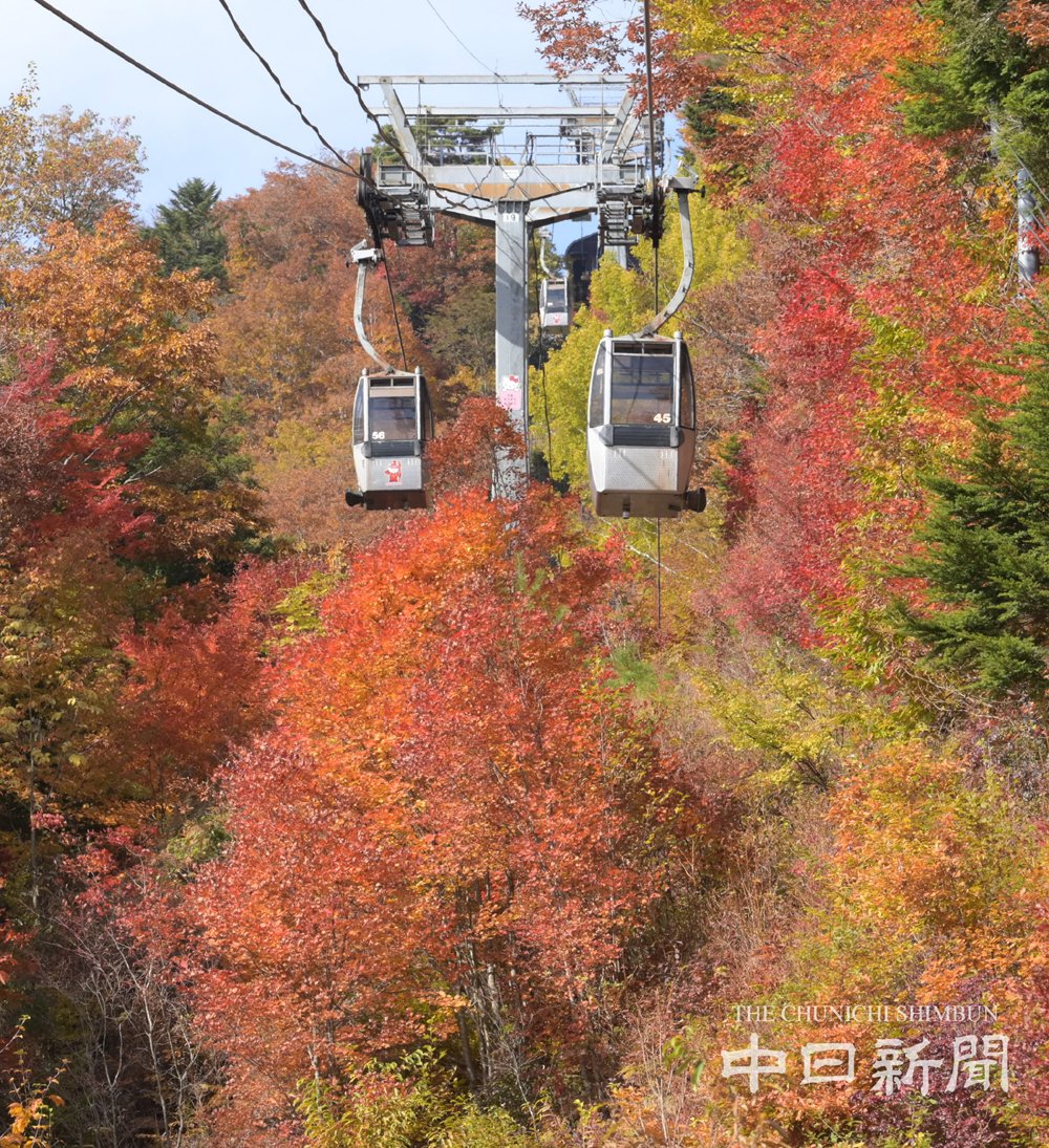 中日新聞写真部 紅葉 長野県阿智村のヘブンスそのはらで紅葉が見頃を迎えています 真っ赤に染まった木々が映えますね 紅葉 ヘブンスそのはら 長野県 阿智村 信州 南信州 T Co Z1lhzhfeor Twitter