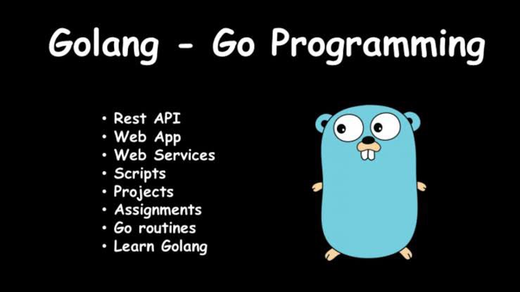 Golang org pkg. Golang язык программирования. golang код. go язык программирования код. golang синтаксис.
