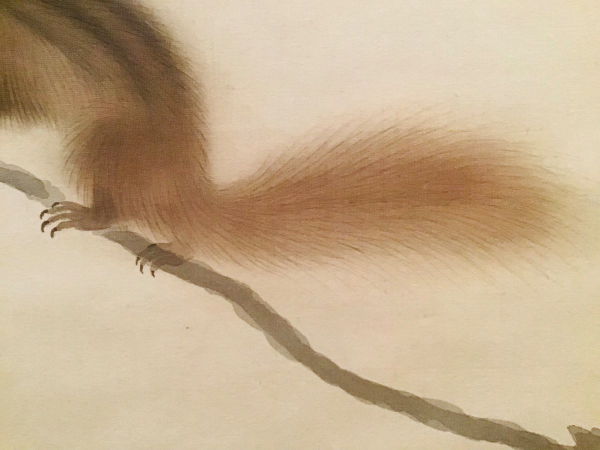 拡大美術館】菱田春草《栗鼠之図》明治42年頃 水野美術館蔵 琳派の研究