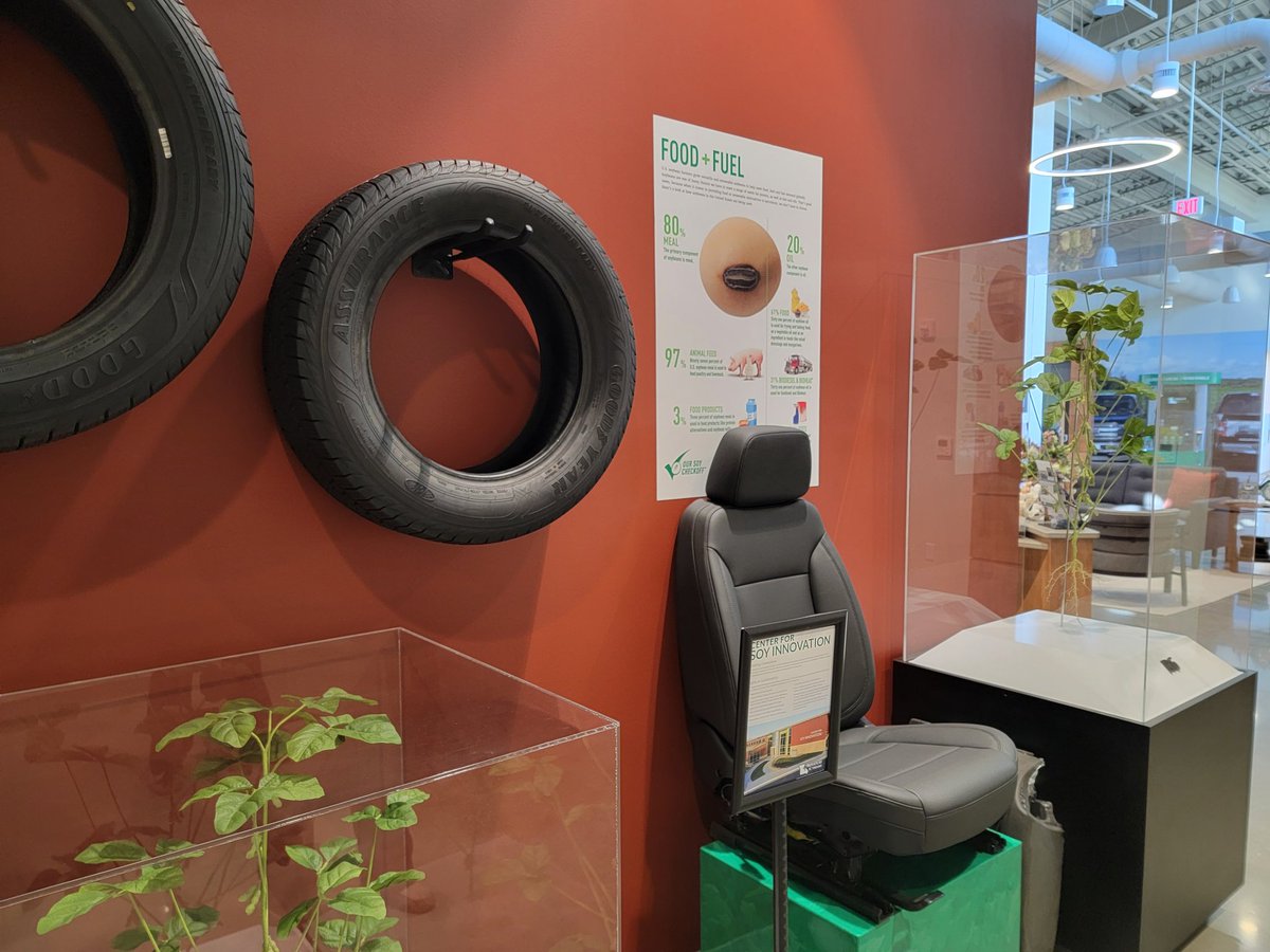 CarrieTergin's tweet image. Had a wonderful tour of @Mo_Soy! Amazing information and displays showcasing so many items made from soybeans! Beautifully done and fortunate to have this in #JCMO! #MoSoy #MayorTergin