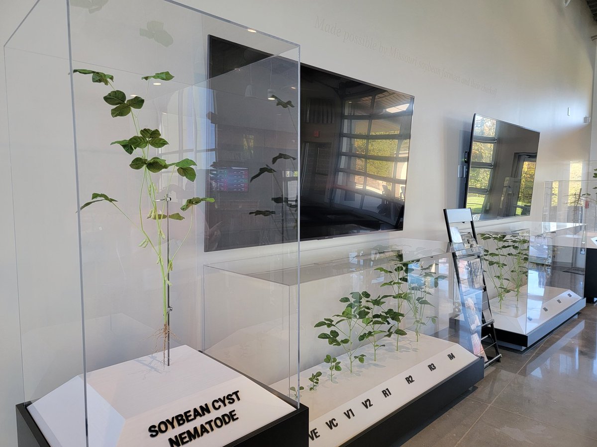 CarrieTergin's tweet image. Had a wonderful tour of @Mo_Soy! Amazing information and displays showcasing so many items made from soybeans! Beautifully done and fortunate to have this in #JCMO! #MoSoy #MayorTergin