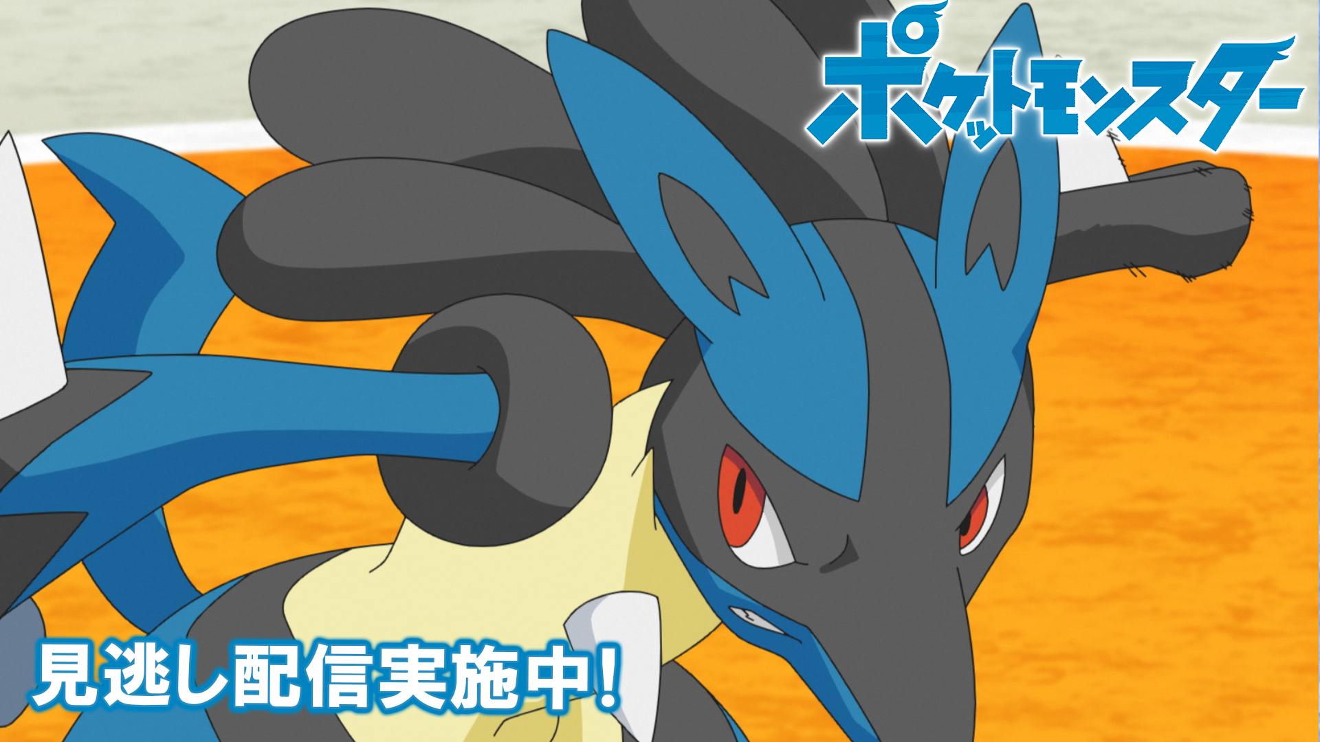 Twitter 上的 ポケモン公式ツイッター ポケモン公式youtubeチャンネルでは アニメ ポケットモンスター の見逃し配信を行っているよ 前回のお話は ライバル決戦 サトシvsサイトウ 明日11月5日 金 よる6時55分からの最新話の放送前に これまでのサトシ