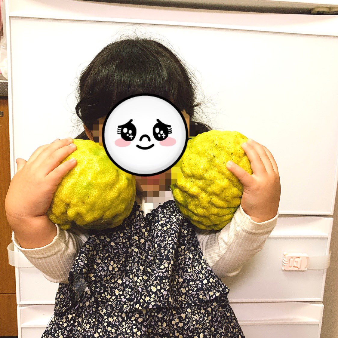 peace1home's tweet photo. お疲れ様です☺️

最近鬼柚子(獅子柚子？)をいただきました💓
3歳の娘の顔と同じくらいの大きさです😳
冬至までは保たなそうなのでジャムにするか、少し早めの柚子湯をするか、、、悩ましいところです(笑) https://t.co/KfKIut0qV8