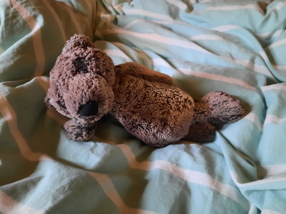 Brombelbeer tweet media