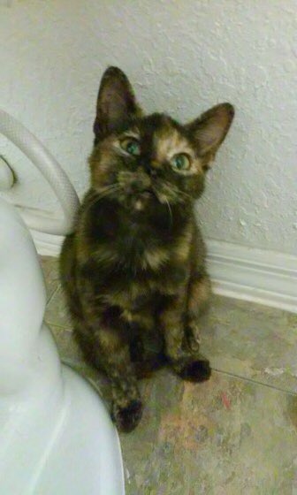 EricThayer tweet media