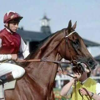 HORSERACING1002's tweet photo. OH SO SHARP (IRE) 1982
(KRIS - OH SO FAIR BY GRAUSTARK)
B Sheik Mohammed (Ire) Mar 30, 1982 Filly
O Sheik Mohammed
T Henry Cecil
9-7-2-0 ---- with 546,054 dls
1985 Champion 3 year old filly
Hoover Filly and Mare Mile S G3, Solario S, 1000 Guineas S G1, Oaks S G1, #OhSoSharp https://t.co/OgMEGX9GGk
