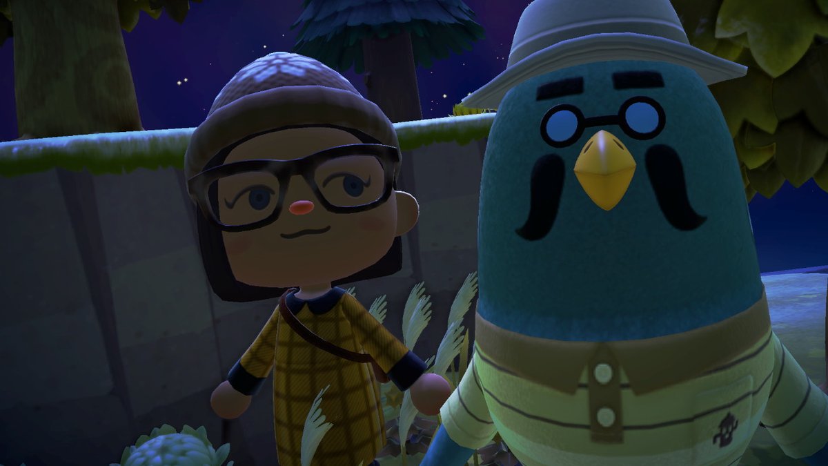 moods_pure's tweet photo. 2.0 of my new BFFs! #puremoodsisland# #ACNHupdate  #AnimalCrossing #ACNH #NintendoSwitch https://t.co/qYZfMYe3vC