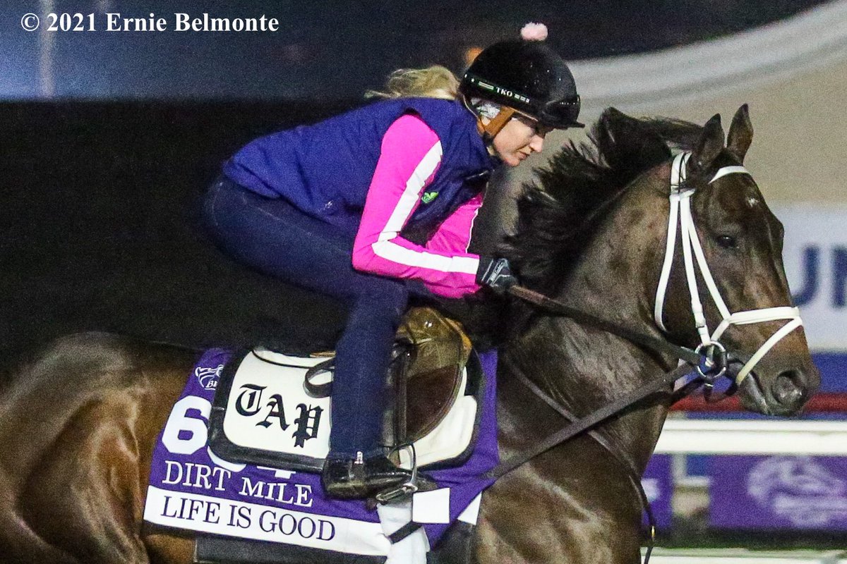 Ernie_Belmonte's tweet photo. Life Is Good galloping this morning in preparation for the BC Dirt Mile. @WinStarCEO #BC21 https://t.co/OJIG4YZxgU