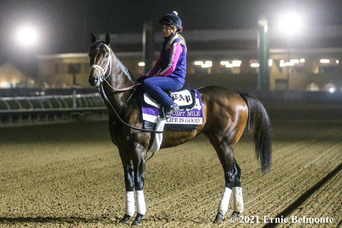 Ernie_Belmonte's tweet photo. Life Is Good galloping this morning in preparation for the BC Dirt Mile. @WinStarCEO #BC21 https://t.co/OJIG4YZxgU