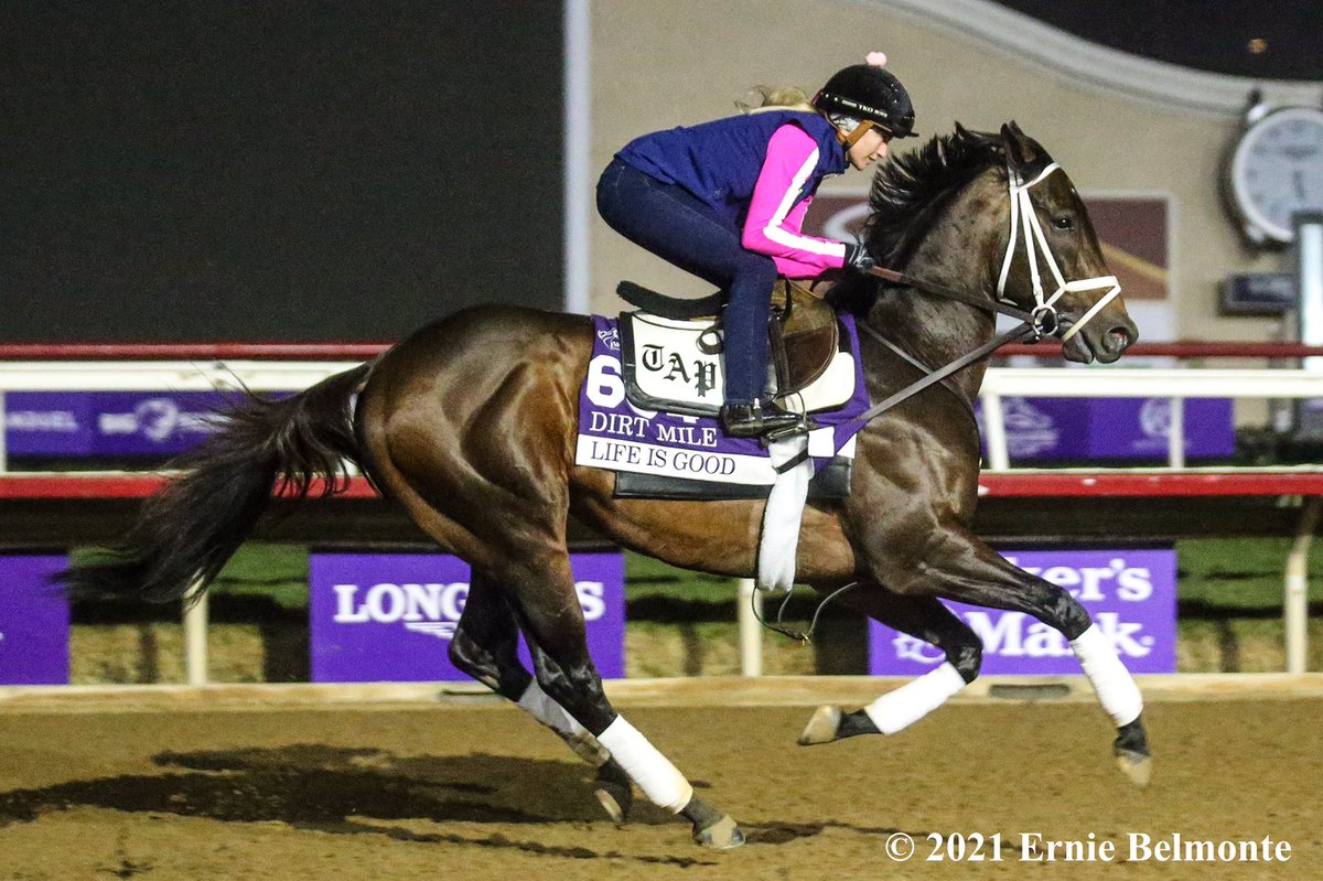 Ernie_Belmonte's tweet photo. Life Is Good galloping this morning in preparation for the BC Dirt Mile. @WinStarCEO #BC21 https://t.co/OJIG4YZxgU