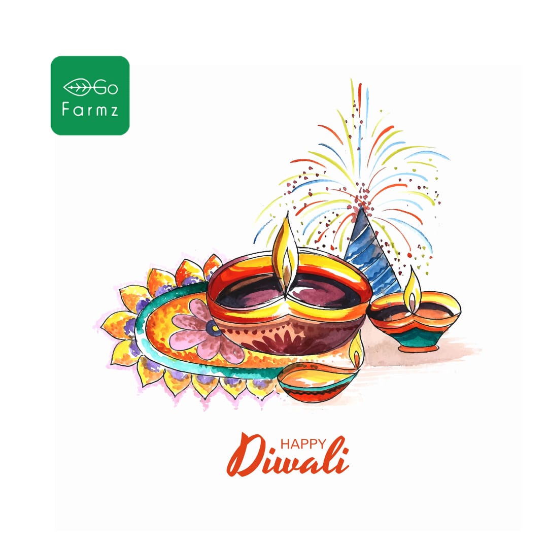 gofarmz's tweet photo. The festival of lights that fills everyone's lives with an abundance of prosperity and exuberance.

Here's wishing you all a very Happy Diwali! ✨

https://t.co/spGUa0uLT6

#gofarmz #happydiwali2021 #दिवाली  #stayhealthy #stanfit #eatorganic https://t.co/vY6rndICF4