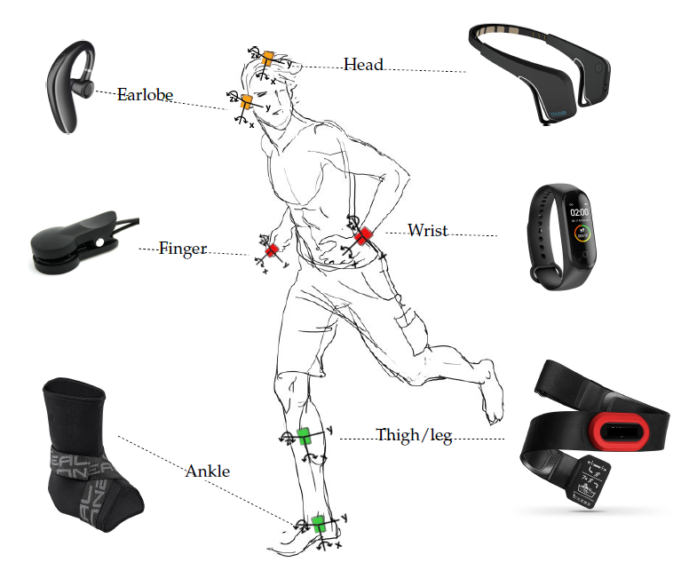Sensors_MDPI's tweet photo. Newly published article "#HumanActivityRecognition: A Dynamic Inductive Bias Selection Perspective" is now available online. It proposes a metamodeling approach to improve #HAR models' robustness and cope with real-world biases.
👉https://t.co/RYELgY5acv

#bodysensornetworks https://t.co/X9XsRme9Uz