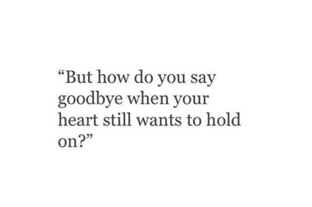 T. Miller (@tara22092536) on Twitter photo 