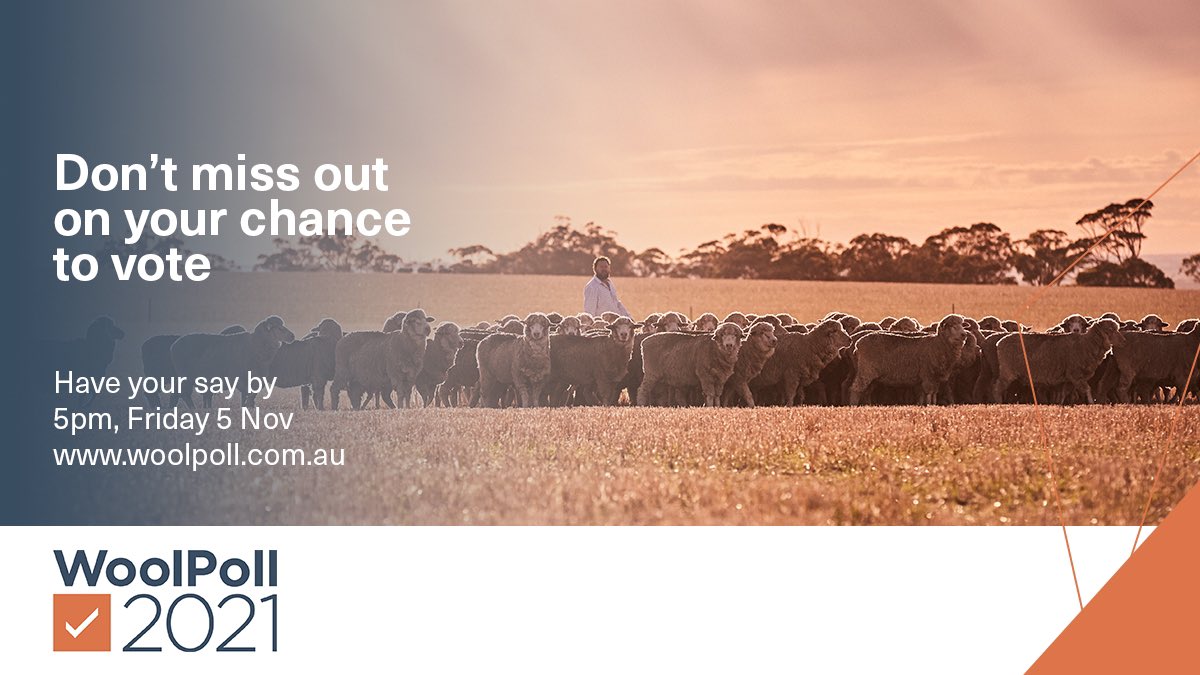 AusWoolGrowers's tweet photo. We really don’t like to nag,

Or pester, remind or just flag,

But tomorrow is D Day
For how much you’ll pay,

Vote now -> 1.5’s in the bag! 

#woolpoll #HaveYourSay https://t.co/LHHeKHj2Oz