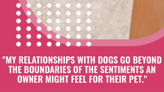 My relationship with dogs is different from the relationships I develop with my fellow humans, and in some ways, is much deeper and more meaningful.#TwixRunsAgain #PamelaJohnson #BorderCollie #bestfriend #family #recovery #healing #vet #accident #surgery #journey #love