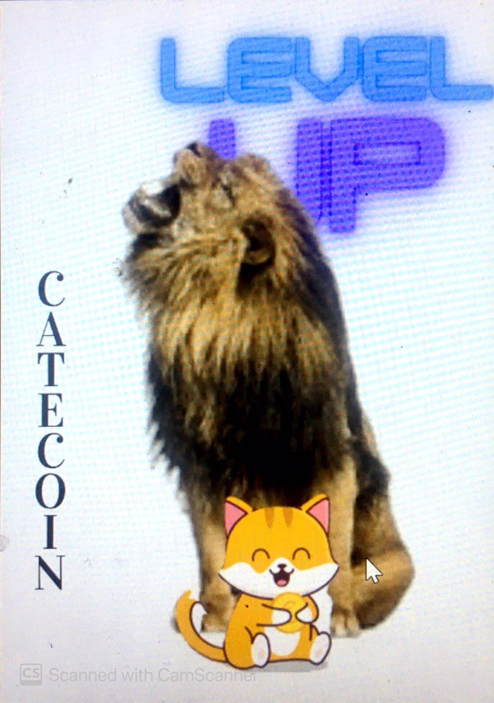 crypto_gerry's tweet photo. @cateclub #catecoin to the moon 🚀🚀🚀 https://t.co/IT4GkYSBWZ