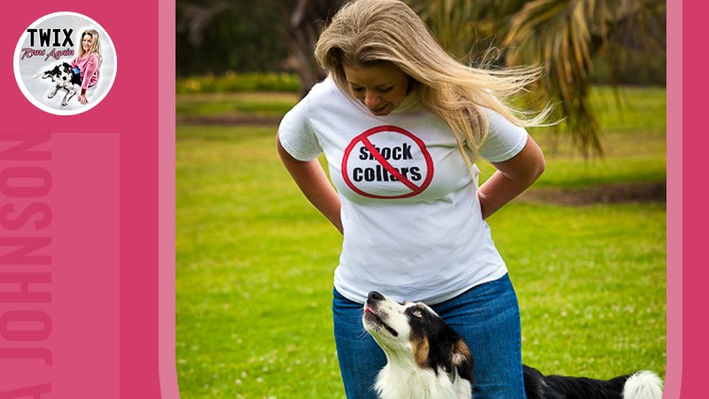 Pamela Johnson shares Twix's inspiring journey towards recovery in her book, Twix Runs Again. Out on Amazon soon! 

#TwixRunsAgain #PamelaJohnson #BorderCollie #bestfriend #family #recovery #healing #vet #accident #surgery #journey #love  #inspirational