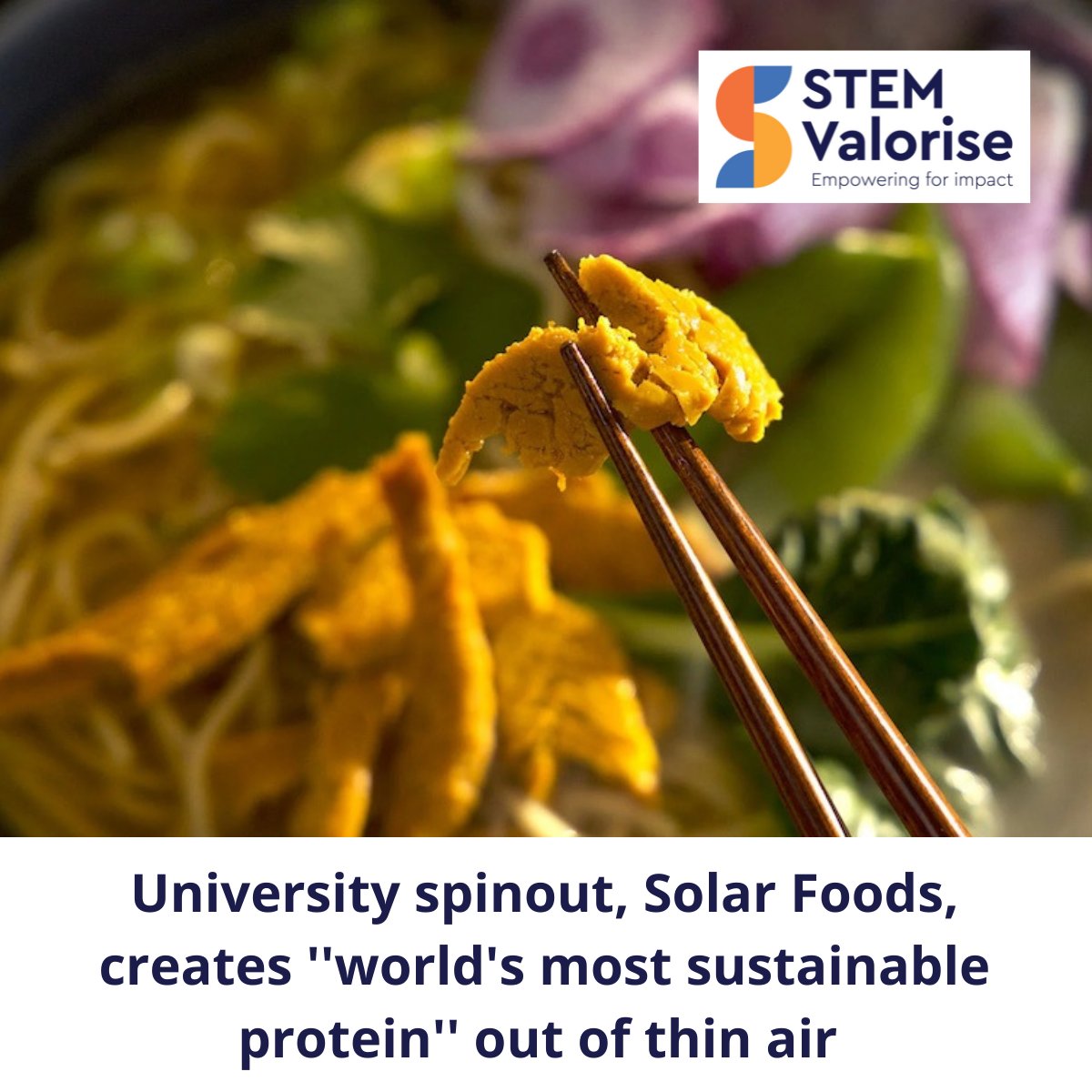 StemValorise's tweet photo. University food tech spinout, @Solar_Foods, have created Solein - "the world's most sustainable protein'' by feeding microbes with gases from the air: CO2, hydrogen and oxygen.

Read more here: https://t.co/t82W9jiIpS
#STEMvalorise #ResearchValorisation #sustainability #foodtech https://t.co/yTkLbfsamG