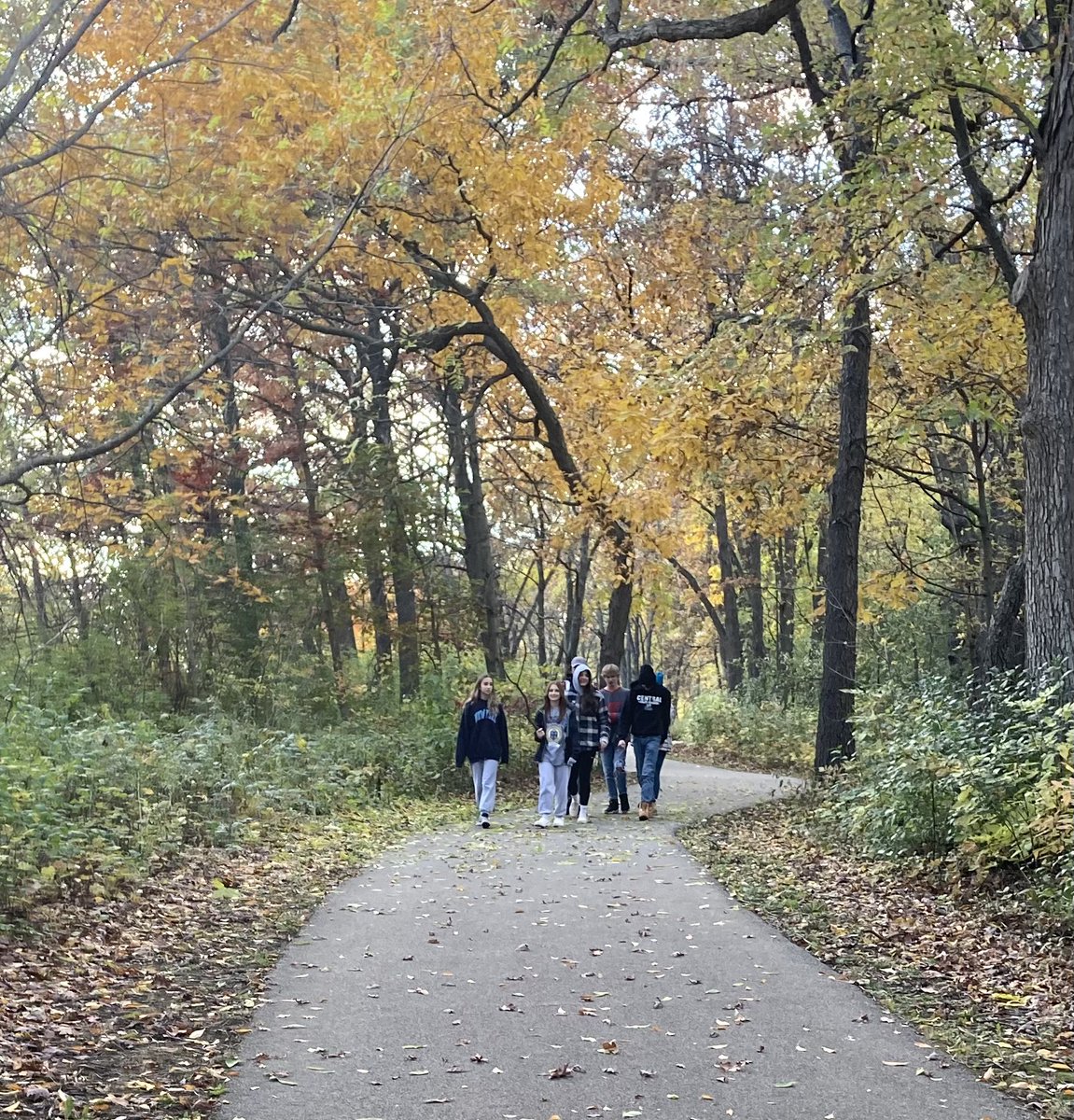 Diane Keuth tweet media