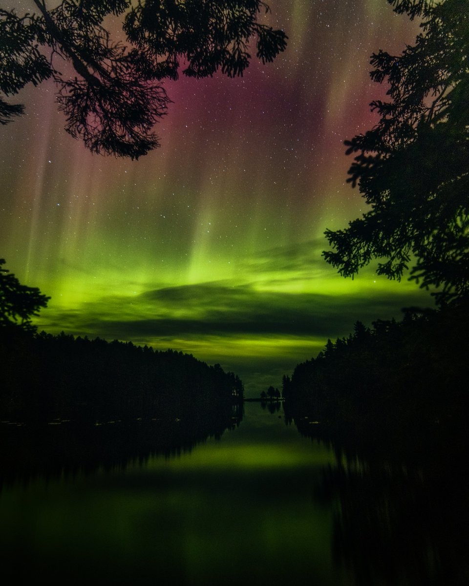 KrisLuckPhoto's tweet photo. KODIAK ALASKA WHAT THE HECK DID YOU PULL OFF TONIGHT???? https://t.co/yqq8vWaUeV