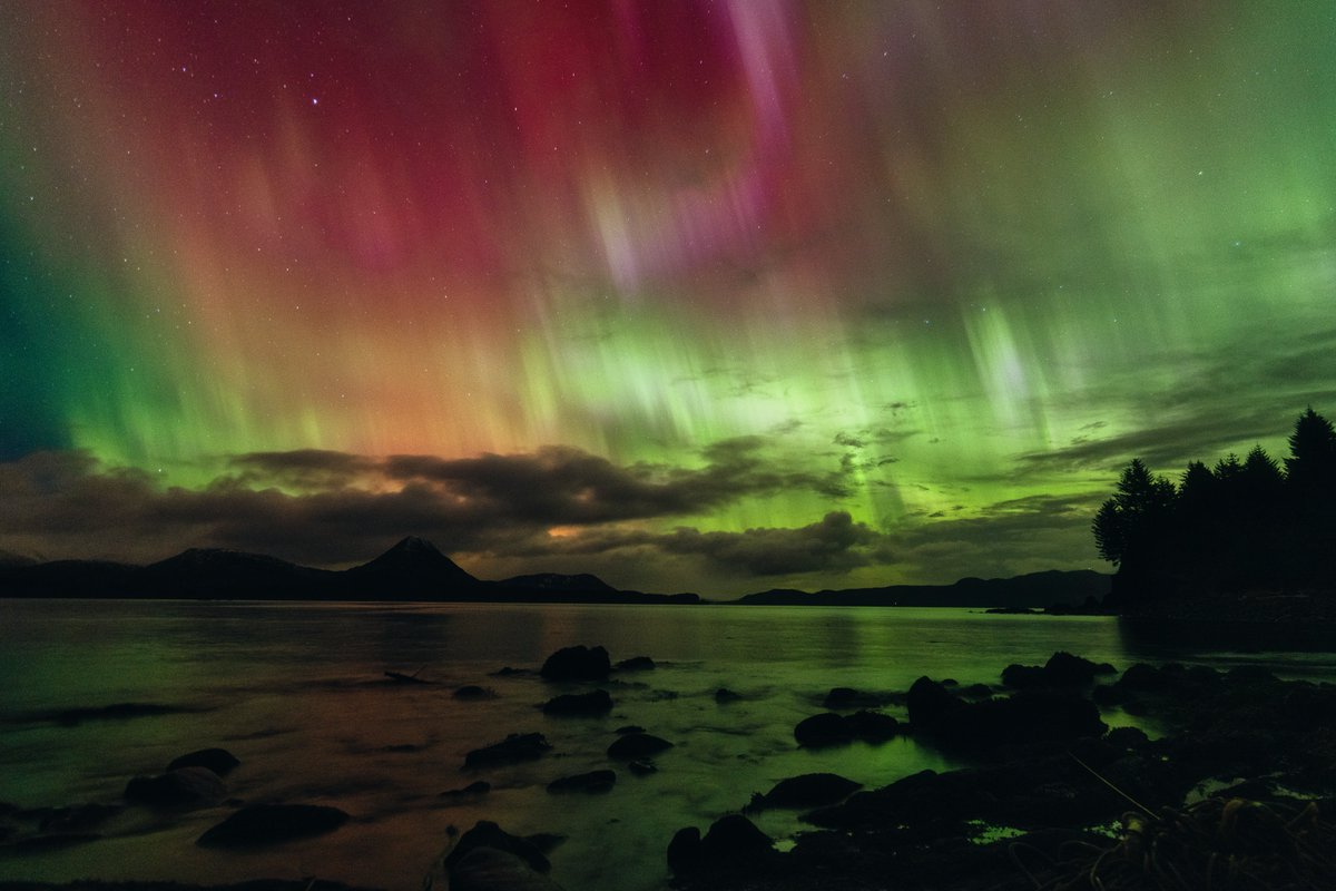 KrisLuckPhoto's tweet photo. KODIAK ALASKA WHAT THE HECK DID YOU PULL OFF TONIGHT???? https://t.co/yqq8vWaUeV