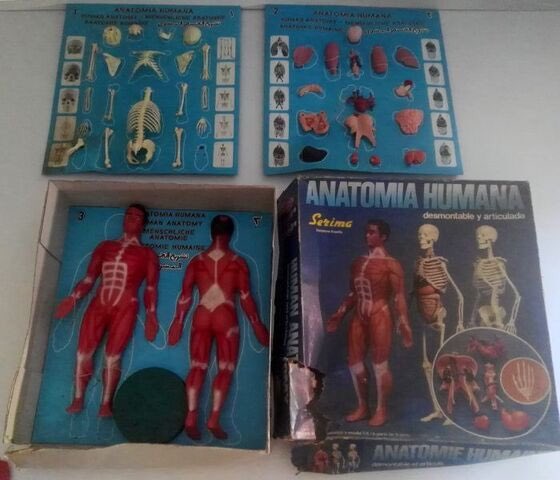 Le Traste tweet media