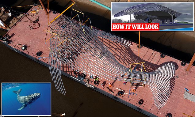 The Dundee Whale Sculpture has made it into the <a href="/MailOnline/">Mail Online</a>! 

Read more about the 'aquatic Angel of the North' that Angle Ring provided a range of cold rolled tubes for here:

ow.ly/WGcl50GF41A 

#WhaleSculpture  #Dundee  #ColdRolling  #TubeManipulation