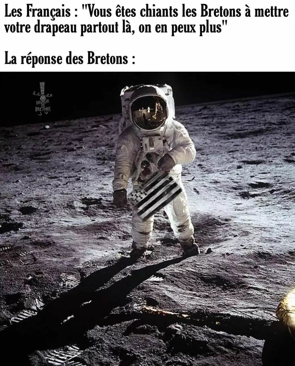 LE_ROI_BRETON's tweet photo. #Bretagne #Drapeau #Memes https://t.co/a6p2o7mgtm