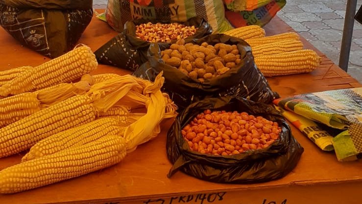 FRauCameroun's tweet photo. #Territoiresruraux Le responsable d'équipe projet agriculture de l'@AFD_France 🇫🇷 était en mission de terrain à #Garoua🇨🇲
✅ Rencontre avec les apprenants d'un centre de formation appuyé par le #PCPAFOP
✅ Visite de 2 projets #PCPACEFA dans la pisciculture 🐟et l'agriculture🌽 https://t.co/EAPeOXdRhj