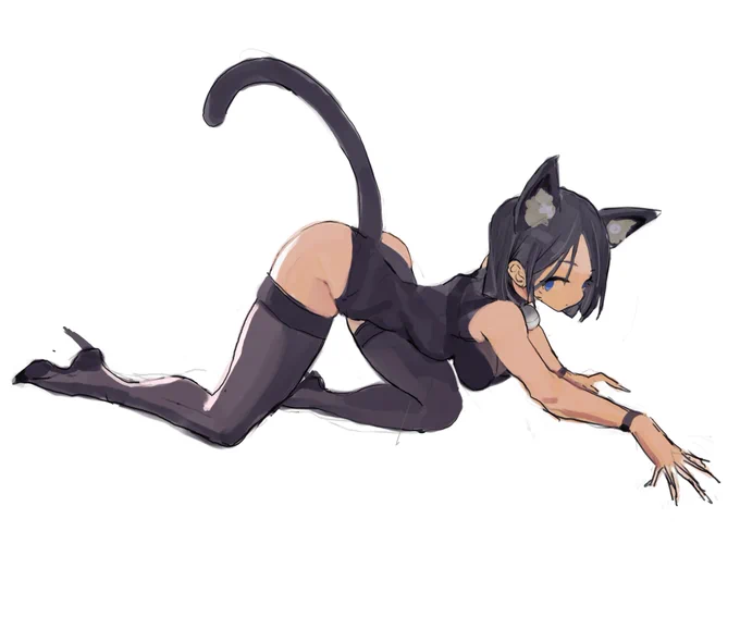 cat 