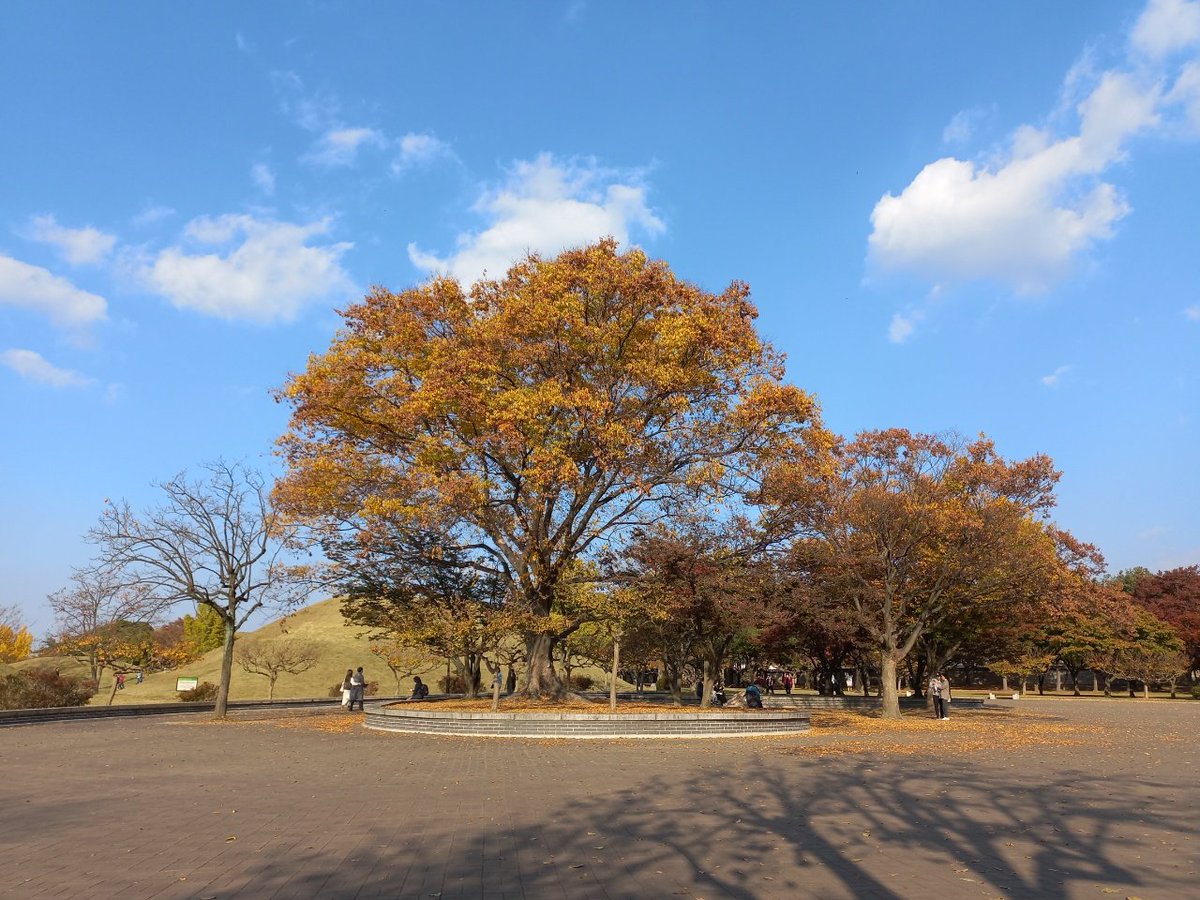 가을이 벌써 많이 다가왔습니다