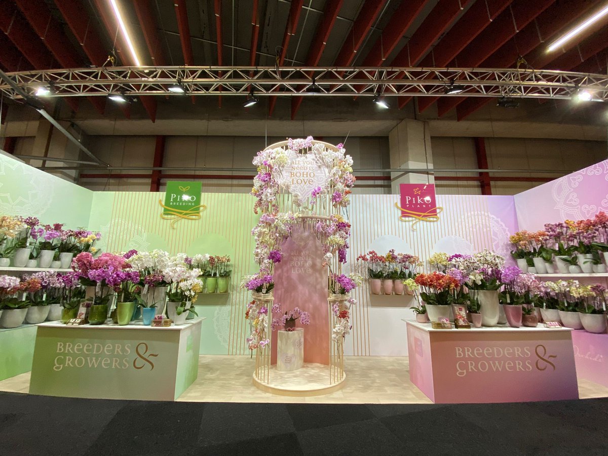 PikoPlant's tweet photo. Lots of bohemian love and inspiration at our exclusive Bohemian Orchids stand @RFHTradeFair. We look forward to welcoming you! https://t.co/Of3FmWwRxF