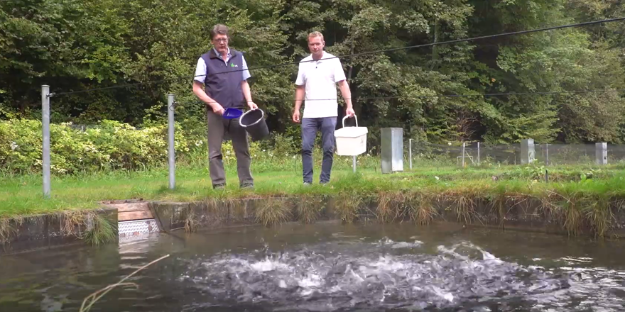 dvs_land's tweet photo. 💪Proteinreiches #Fischfutter🐟 aus regionalen #Insekten?

🪰Das #EIPAgri-Projekt "Nachhaltige Insektenproduktion" testet zusammen mit Landwirten diese Form des Futtermittels.
@farminsect_eu @EIP_Agri_NDS @EIPAGRI_SP 

🎥Mehr in unserem Film👇
https://t.co/8NRRnXeigt https://t.co/5GLetkW330