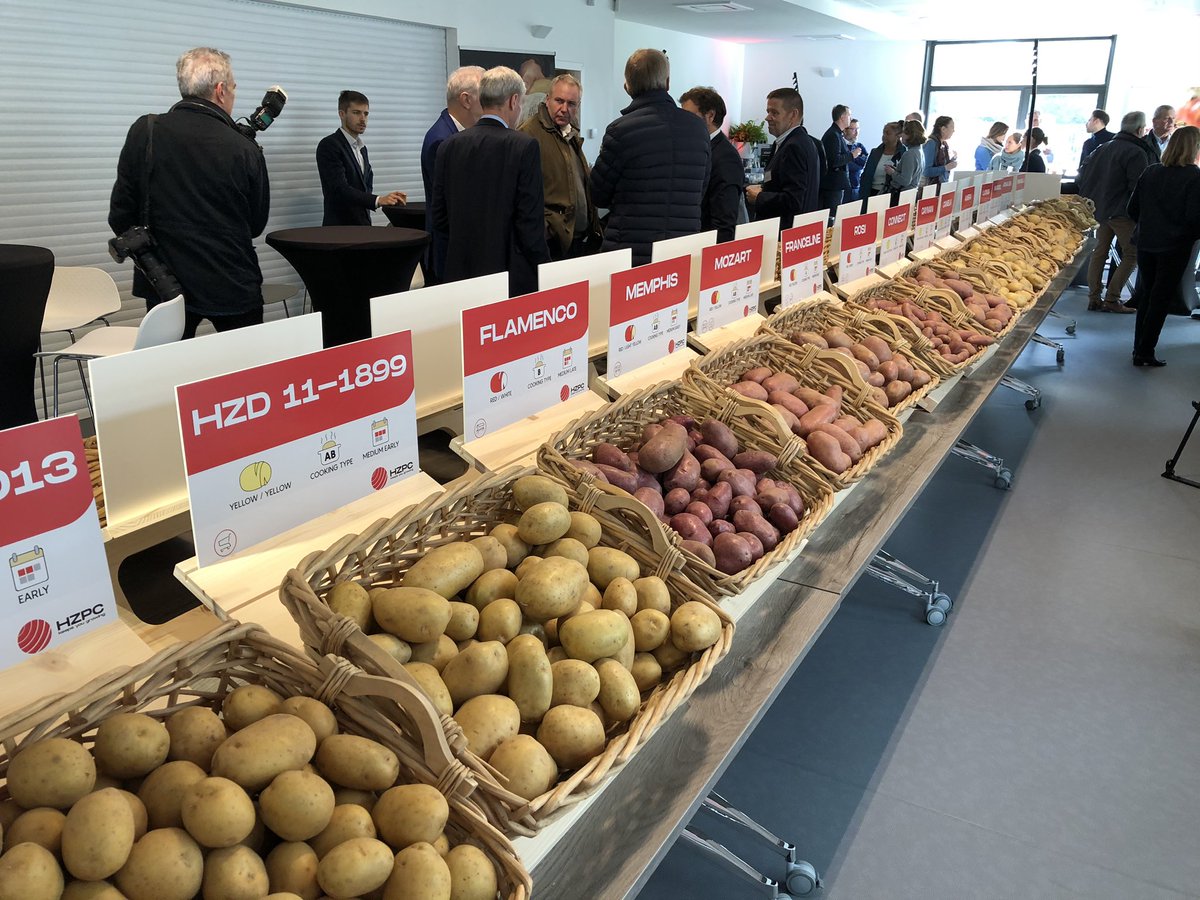 Sans patates?! 🥔🥔Pas question de faire l’inauguration des nouveaux locaux de <a href="/HZPC/">HZPC Potatoes</a> sans montrer la vitrine variétale 🤩<a href="/TerresetTerr_/">Terres et Territoires</a> <a href="/UNPT_FRANCE/">UNPT 🥔</a>