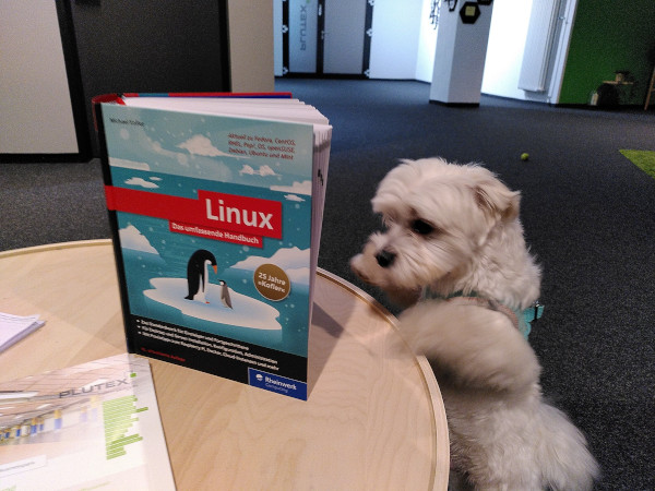 plutex's tweet photo. #Weiterbildung bei #PLUTEX: Jeder/e MitarbeiterIn darf 4 h/Woche für Weiterbildungen nutzen. Jede Woche veranstalten wir Schulungsvormittage zu IT-Themen rund um den Rechenzentrumsbetrieb.
Hier PLUTEX Feel Good Manager Snoopy bei seiner #Linux-Schulung:
#datacenters #OpenSource https://t.co/pfx3tZc1C6