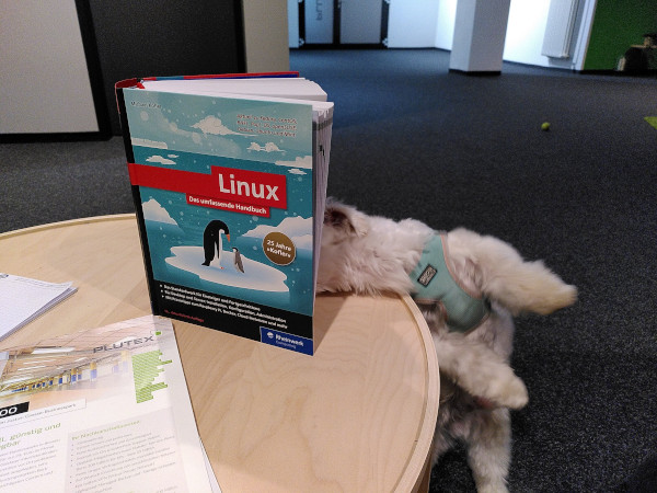 plutex's tweet photo. #Weiterbildung bei #PLUTEX: Jeder/e MitarbeiterIn darf 4 h/Woche für Weiterbildungen nutzen. Jede Woche veranstalten wir Schulungsvormittage zu IT-Themen rund um den Rechenzentrumsbetrieb.
Hier PLUTEX Feel Good Manager Snoopy bei seiner #Linux-Schulung:
#datacenters #OpenSource https://t.co/pfx3tZc1C6