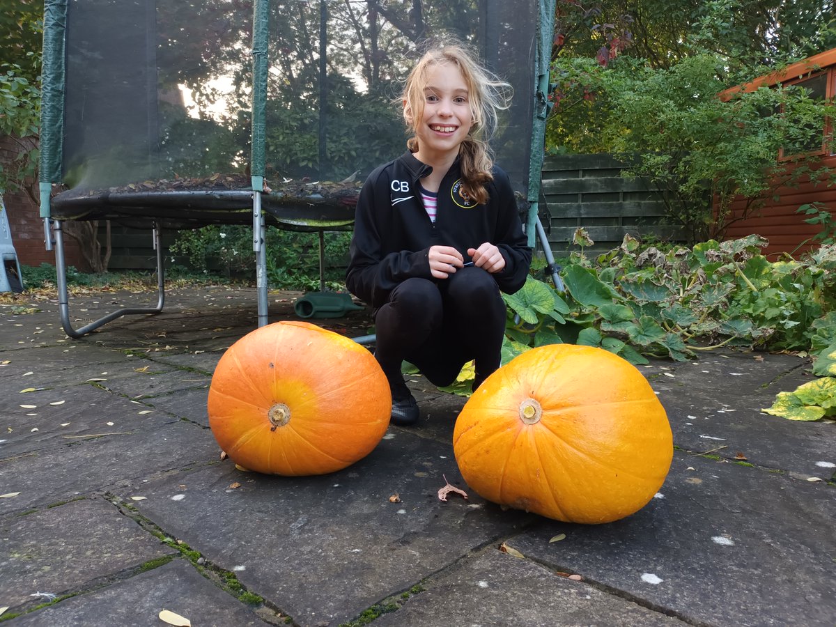 One of the Stem week challenges for the children at RWPA was to grow a Halloween pumpkin from seed! Here are a few of the many photos sent in by our green -fingered growers!