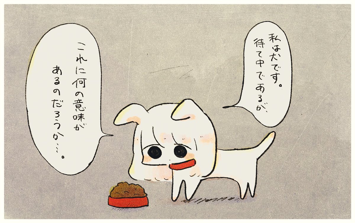 待て中に悟った犬。 